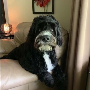 Meet your Posher, Macy